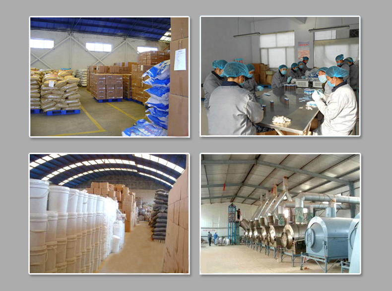 produce dried mealworm factory.jpg